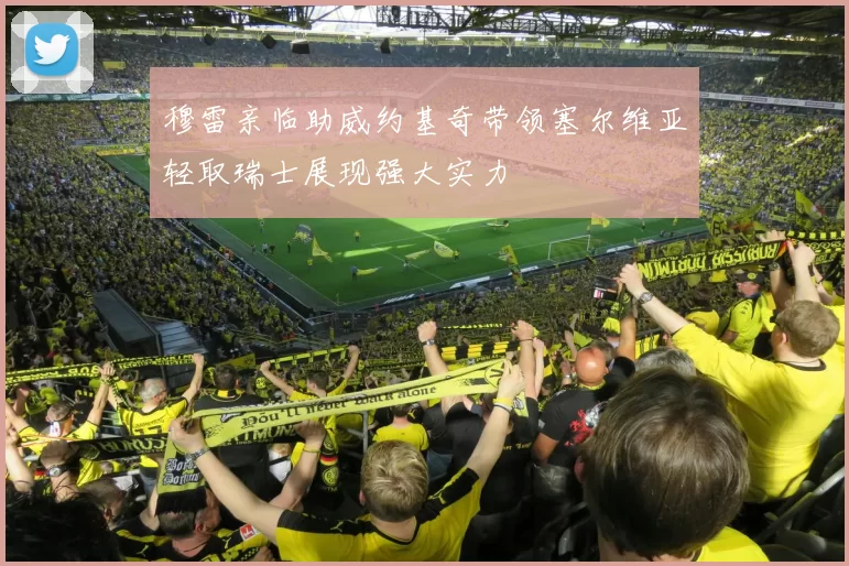 穆雷亲临助威约基奇带领塞尔维亚轻取瑞士展现强大实力